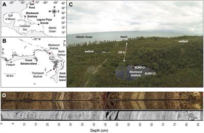 Subsurface Microbial Community Composition in Anchialine Environments Is Influenced by Original Organic Carbon Source at Time of Deposition